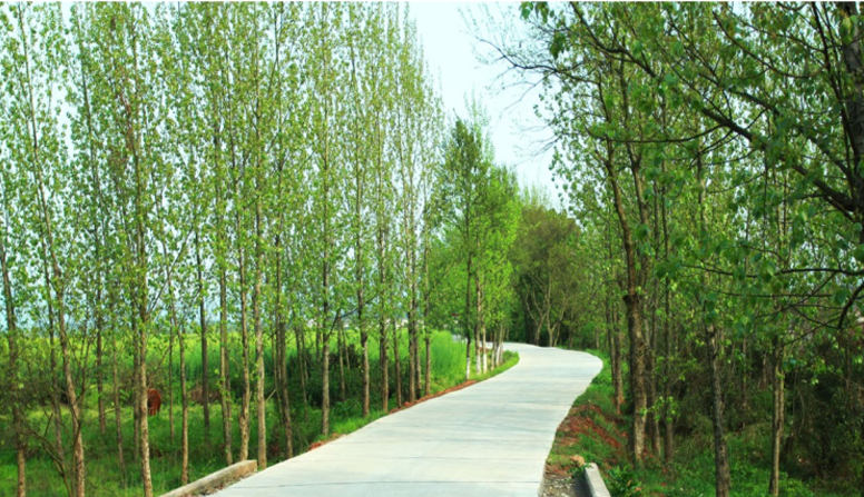 江西信豐縣工業(yè)園科之光路（緯二路）新建大道、產(chǎn)業(yè)大道北段一期工程設(shè)計(jì)、施工總承包（EPC）